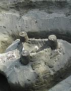 DSC03041 - Governors Beach